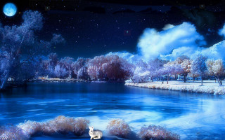 Dog snow river bank night - beautiful scenery free wallpaper for desktop