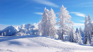 Snowy landscape trees mountains blue 4 - tree and mountains free wallpaper