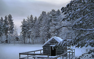 Snowy cabin woods trees background - a snowy scene free wallpaper