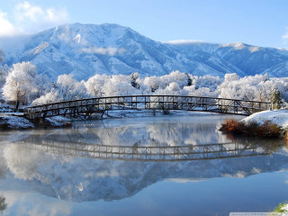 Bridge lake mountain snow trees - the ground and trees free wallpaper