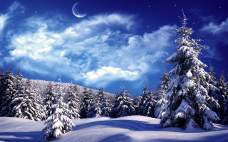 Snowy landscape full moon trees 2 - a full moon free wallpaper