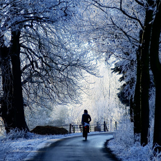 Snowy bike ride winter nature - free winter wallpaper