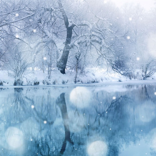 Snowy lake trees winter moonlight - a matte painting free wallpaper