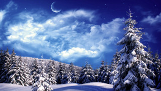 Snowy landscape full moon trees 3 - a snowy landscape free wallpaper