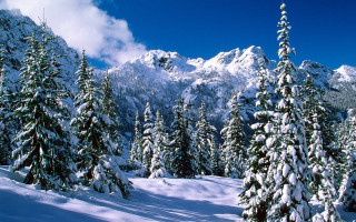 Snowy mountain trees covered clouds 4 - bob ross free wallpaper