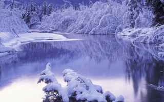 Snowy river island trees mountain - a small island in the middle of it free wallpaper