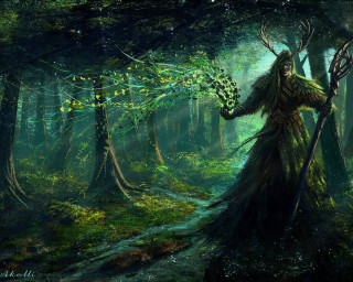 Woman forest branch leaves bird - anato finnstark free wallpaper