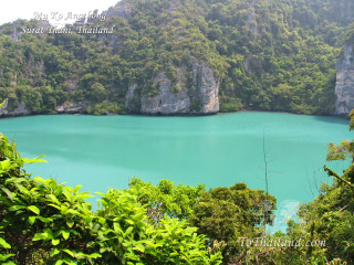 Lake trees mountains blue sky 15 - a blue sky and water free wallpaper