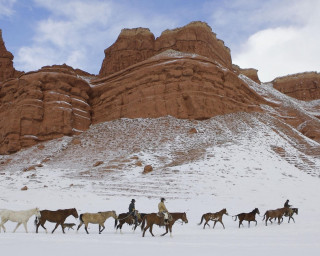 Horses snow field mountain man - field next free wallpaper