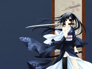 Woman dress sword book hand - a woman in a dress free wallpaper
