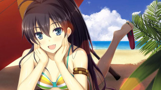 Bikini woman beach umbrella palm - official free wallpaper for desktop