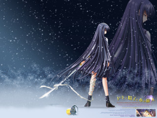 Anime longhair snow walking dog - a leash free wallpaper