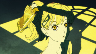Girl bird head shoulder friends - a yellow light free wallpaper