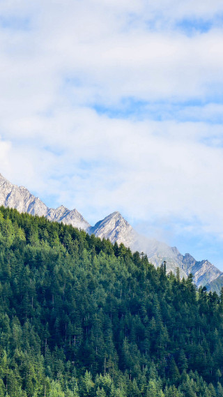 Mountain forest sky clouds trees 2 - the side of it free wallpaper