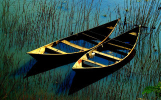 Two canoes water tall grass - tall grass free wallpaper