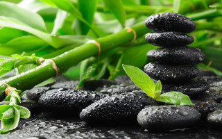Black rocks bamboo plant stalk - a pile free wallpaper