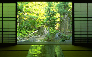 Glass table forest view window - eishōsai chōki free wallpaper