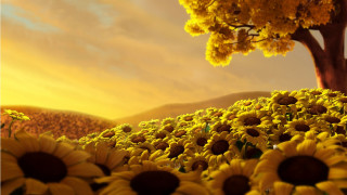 Sunflower field tree sunset clouds 2 - a field of sunflowers free wallpaper