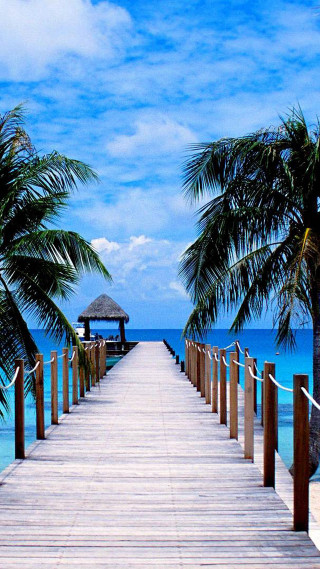 Pier beach palm trees hut - palm tree free wallpaper