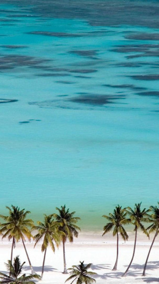 Beach palm trees blue ocean 5 - beautiful landscape free wallpaper