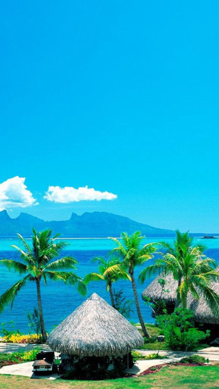 Beach palm trees hut ocean 5 - free beach wallpaper