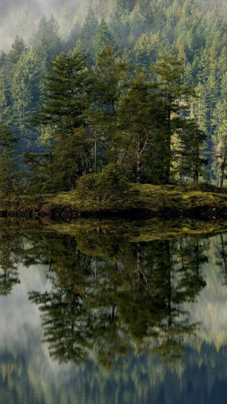 Small island trees lake forest - a detailed matte painting free wallpaper