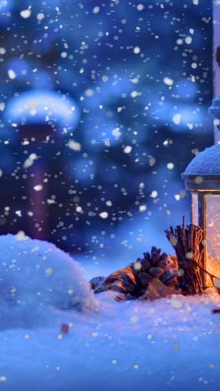 Lantern lit snow pinecones ground - the ground next free wallpaper