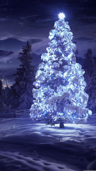 Lit christmas tree snowy night 4 - free winter wallpaper