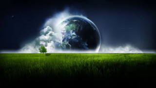 Green field tree blue sky 2 - a green field free wallpaper