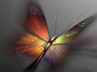 Colorful butterfly light wings spread - macro art free wallpaper