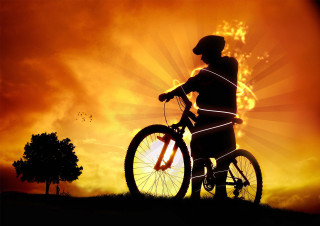 Bike hill sunset tree sunburst - a person riding free wallpaper