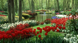 Garden pond flowers trees grass 4 - dirck van der lisse free wallpaper