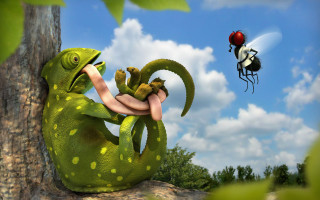Bug lizard fly sky tree - nearby free wallpaper