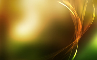 Blurry green yellow background tree - a blurry image free wallpaper