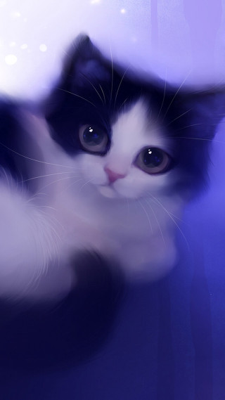 Black white cat purple background - a purple background free wallpaper
