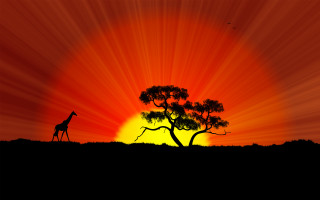 Giraffe tree sunset bird flying - sunrise free wallpaper