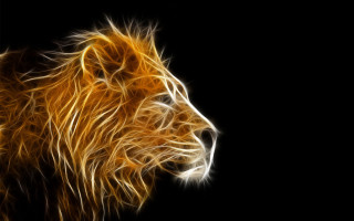 Lion yellow light dark magic - digital painting free wallpaper