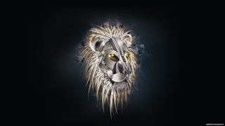 Lion head black background white - yellow free wallpaper