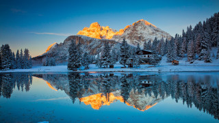 Mountain lake cabin snow trees 2 - the ground and trees free wallpaper