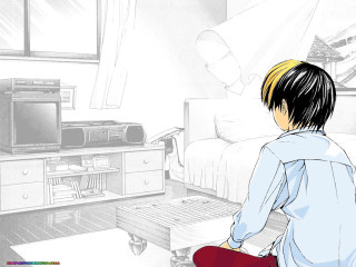 Person suitcase room tv bed - a person free wallpaper for desktop