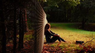 Woman sitting park tree bucket - cinematic free wallpaper for desktop