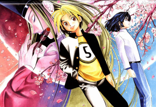 Anime characters group pink flowers - pink flower free wallpaper