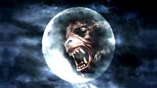 Bear growling moon mouth open - tooth wide free wallpaper