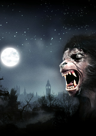 Gorilla mouth open full moon - free halloween wallpaper