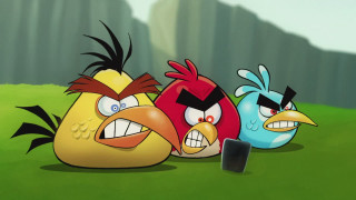 Angry birds cartoon scene mountains - angry free wallpaper