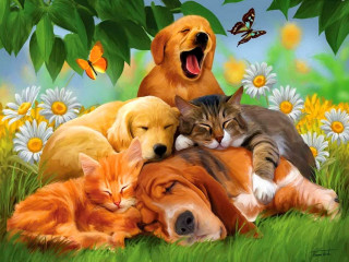 Dog cats grass laying painting - dan content free wallpaper