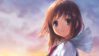 Girl long hair white shirt 13 - red tie free wallpaper