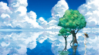 Woman tree water clouds bird - overhead free wallpaper