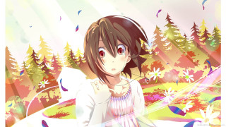 Girl dress field trees sky 3 - the background and a sky free wallpaper