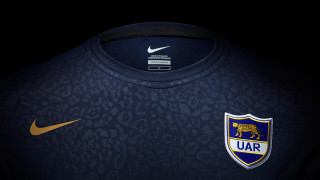 Lion shirt nike logo silkscreen - the chest free wallpaper